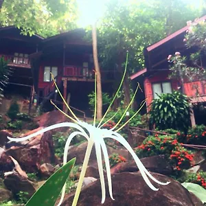 Resort Hill, Phi Phi Don